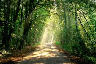 ablauf psychotherapie